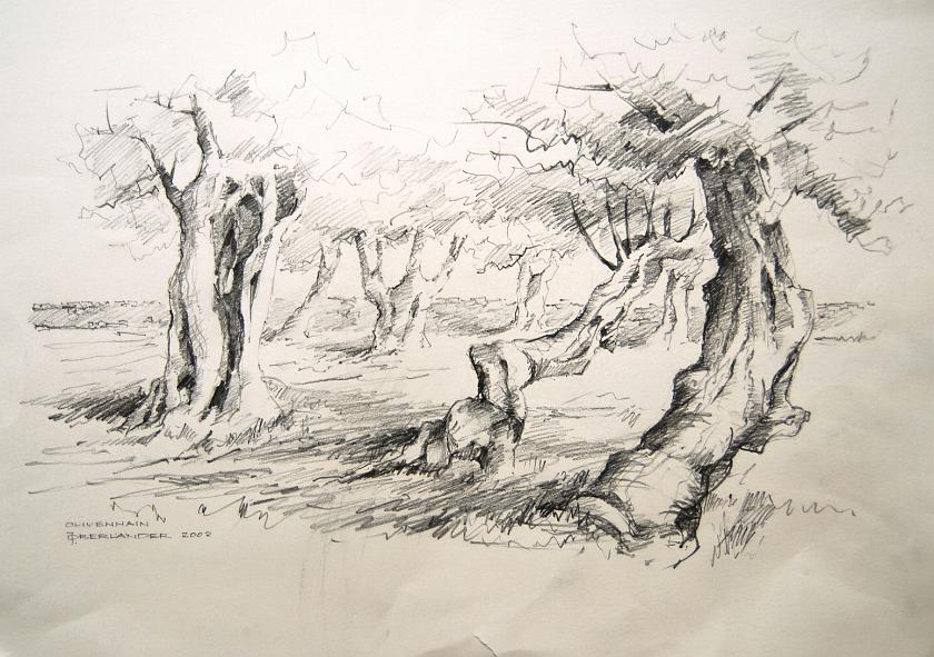 Olivenhain - 37 x 57 cm, Bleistiftzeichnung.jpg